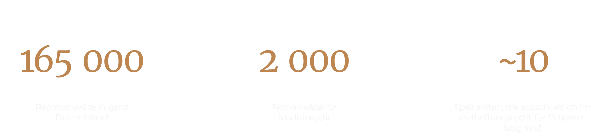 https://www.scharffetter.com/wp-content/uploads/2025/02/scharffetter_graphic2.png